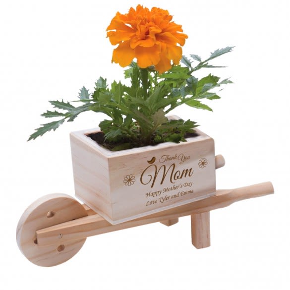 Blossom Kit for Mom | Personalized Plant For Mom