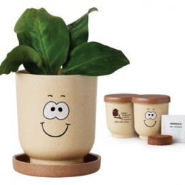 Goofy Grow Pot Set- Basil