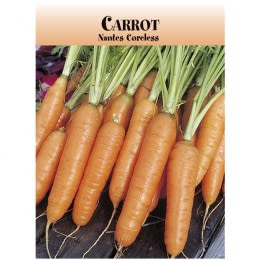 Promotional Carrot Seed Packets | Custom Printed Carrot Seed Packets