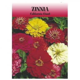 Promotional Logo Zinnia Seed Packet | Personalized Zinnia Seed Packets