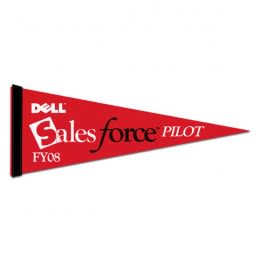 Colored Pennant- 9&quot; x 24&quot;