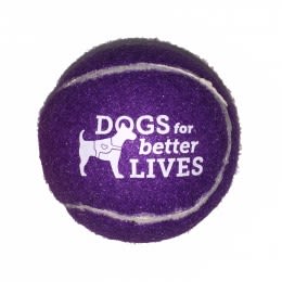 Logo Pet Fetch Toy Tennis Ball  - Purple