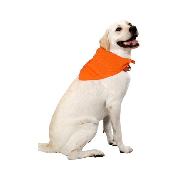 Custom Large Triangle Pet Bandanna - Orange