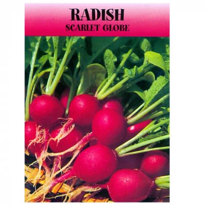 Custom Logo Radish Seed Packet | Promotional Radish Seed Packets