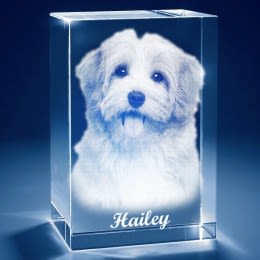 3D Photo Tower Crystal Keepsakes | Collectibles for Dogs