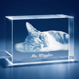 My Kitty Cat 3D Photo Engraved Brick Crystal Keepsakes | Custom Photo Crystals