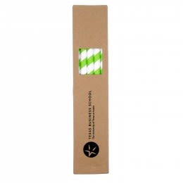 10 Pack Biodegradable Paper Straws in Paper Box