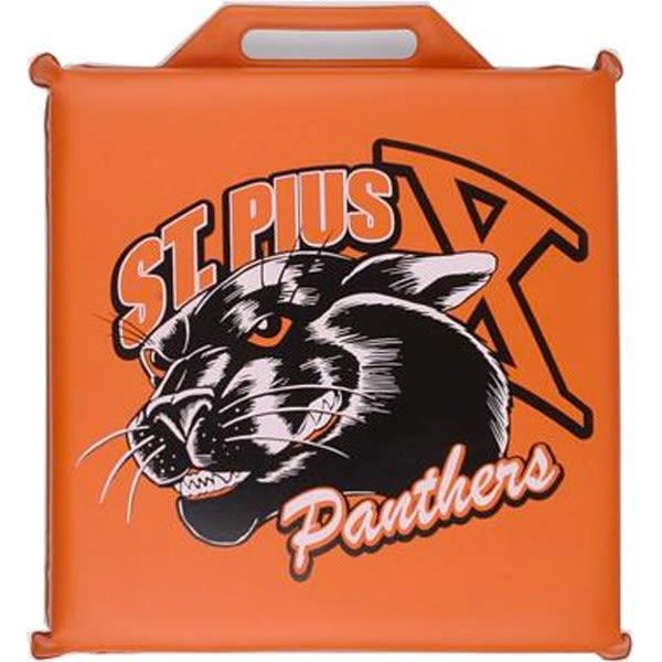 Panthers Bleacher Cushion