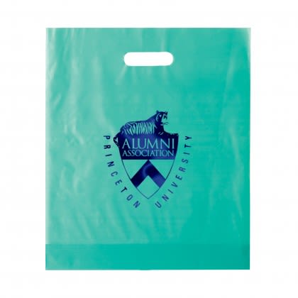 Foil Stamp Custom 15 x 18 Die Frosted Cut Bag - Teal