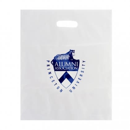 Foil Stamp Custom 15 x 18 Frosted Die Cut Bag - Clear