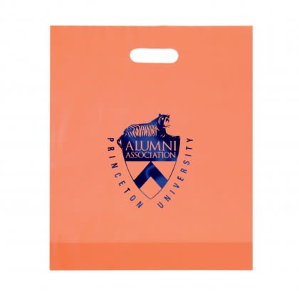 Foil Stamp Custom 15 x 18 Frosted Die Cut Bag - Tangerine