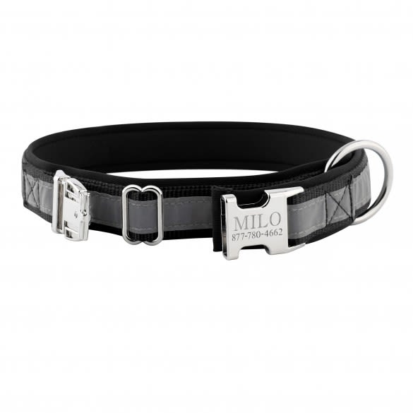 Reflective Dog Collar with Engraving