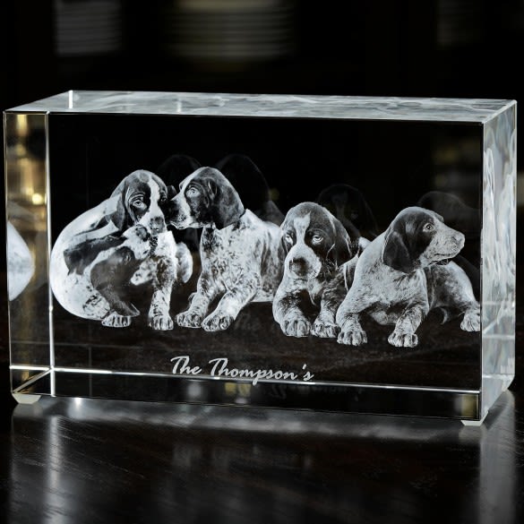 3D Photo Engraved Crystal Keepsake - Brick