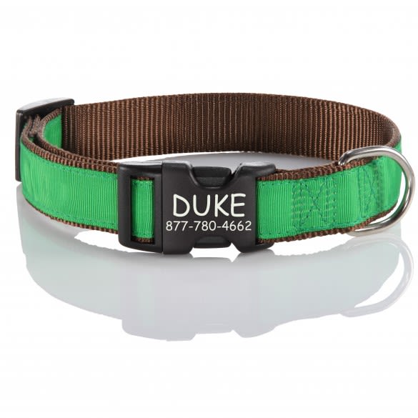 Green Custom Dog Collar with Black Buckle