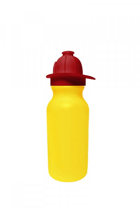 Custom 20 Oz. Value Cycle Bottle With Push 'N Pull Cap