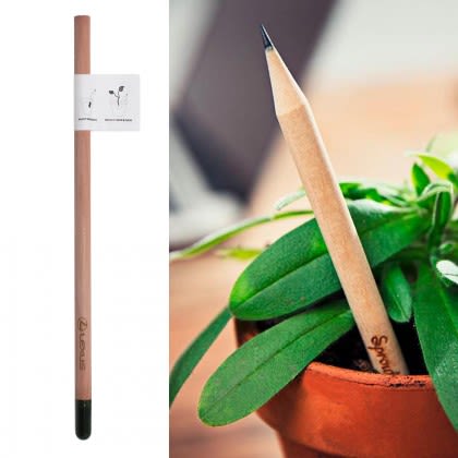Plantable Sprout Pencil Eco Friendly