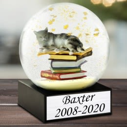 Engraved Cat on Books Snow Globe | Personalized Memorial Snow Globes