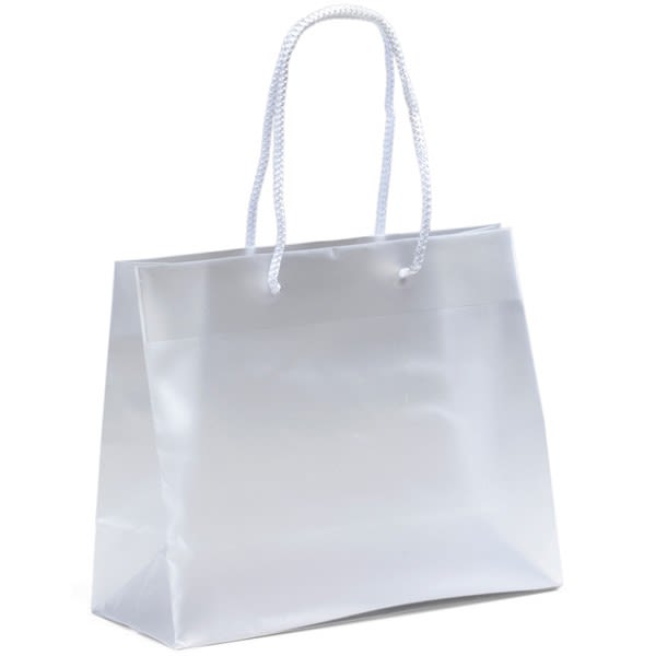 wholesale custom logo frosted plastic bag