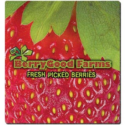 7-1/2 x 8 Fabric Surface Mouse Pads - 1/4 thick Promotional Custom Imprinted With Logo