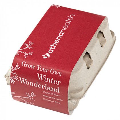 Promotional Winter Wonderland Grow-Your-Own Kit