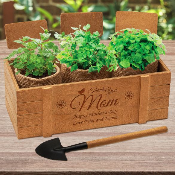 For Mom Terzetto Relaxation Blossom Kit | Personalized Seed Kit For Mother's Day