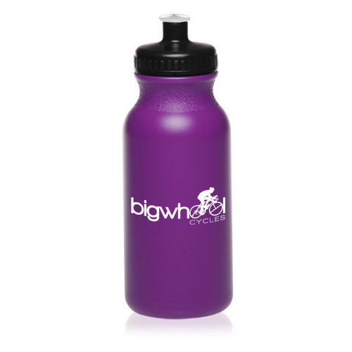 Custom 20 Oz. Value Cycle Bottle With Push 'N Pull Cap