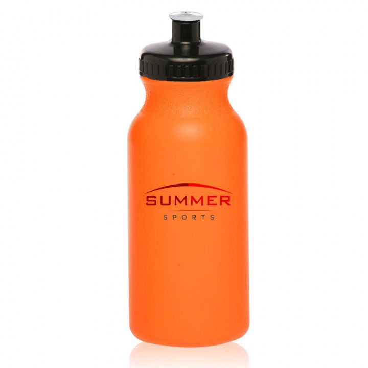 20 oz Water Bottles with Push Caps