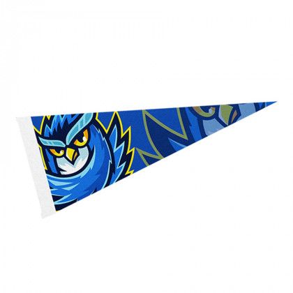 Custom Full Color 4" x 10" Pennant | School Spirit Giveaways