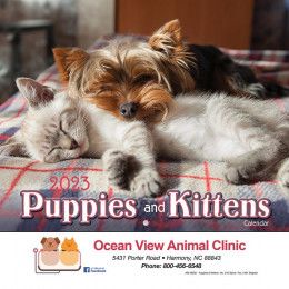 Puppies &amp; Kittens Wall Calendar- Stapled