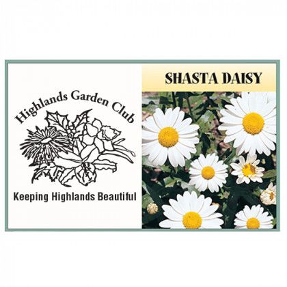 Mailable Series Daisy Flower Mix Seeds Promo