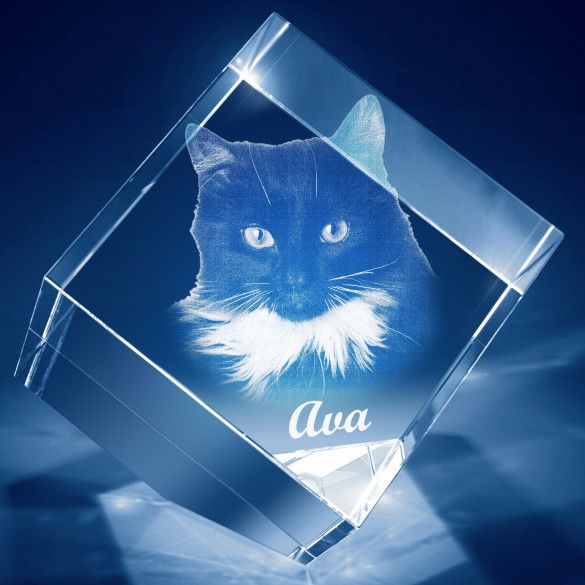 Pet Memorial 3D Photo Engraved Diamond Cube Crystals | Pet Keepsakes