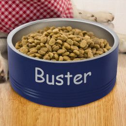 Navy Polar Camel Personalized Dog Bowl - 32oz