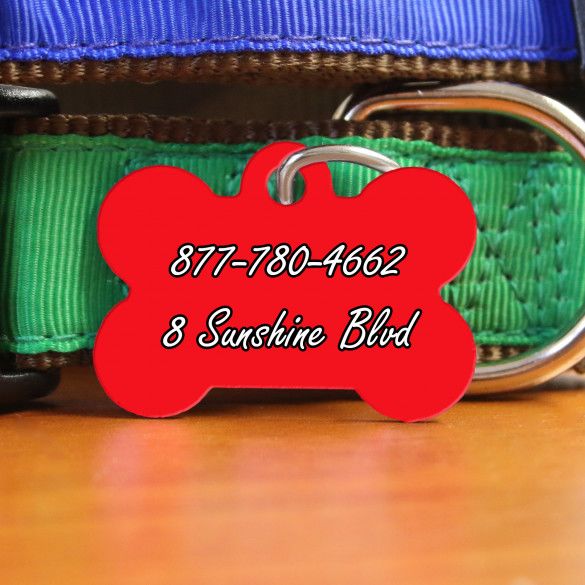 Back of chevron design bone tag on red background 