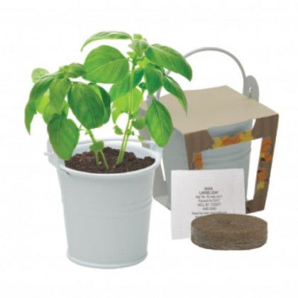 Custom Engraved Mini Pail Basil Herb Kit - Contents