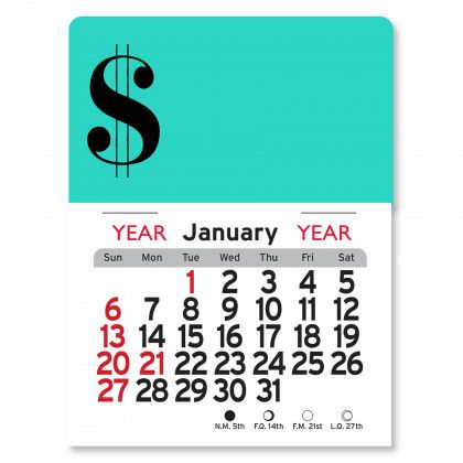 Peel-N-Stick® Calendar - Dollar Sign - Aqua