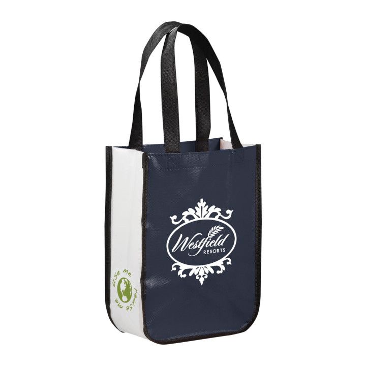 Best Reusable Shopping Bags | Small Non-Woven Laminated Eco Tote Bag