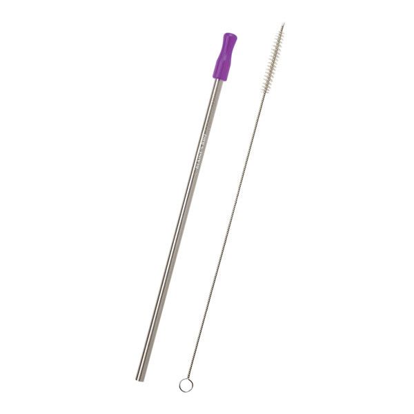 Stainless Steel Straw w/ Silicone Mouthpiece