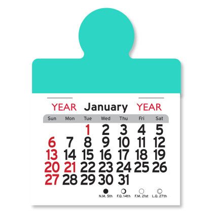 Peel-N-Stick® Calendar - Circle - Aqua