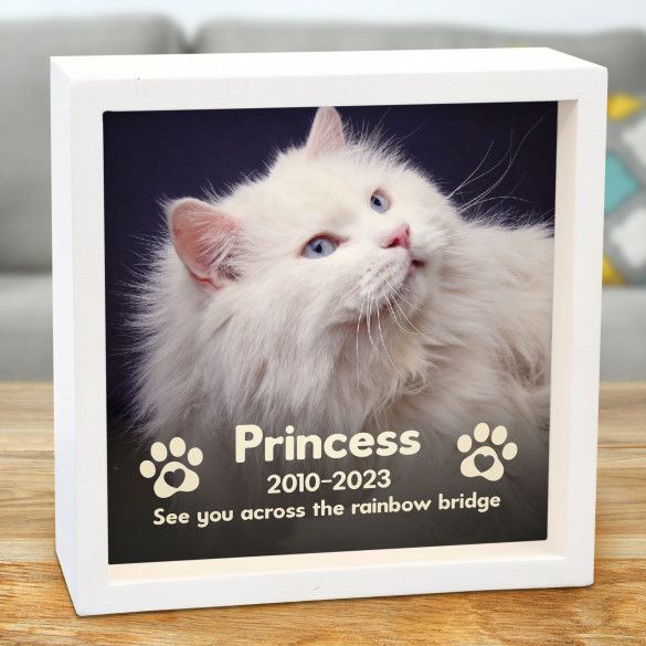 Cat Memorial Photo Personalized Lighted Shadow Box