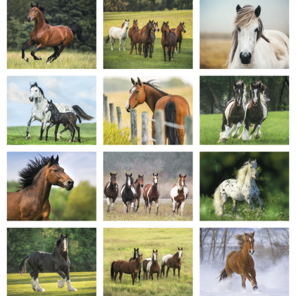 Horse Calendar with Imprint Months