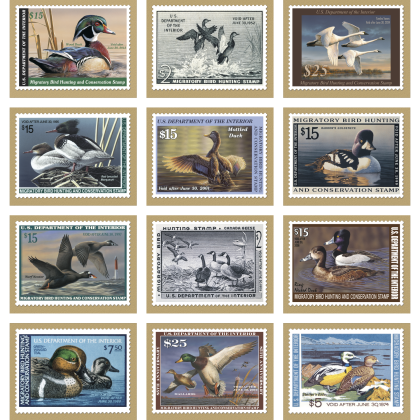 Custom Premium Appointment Calendar Duck Stamp Months