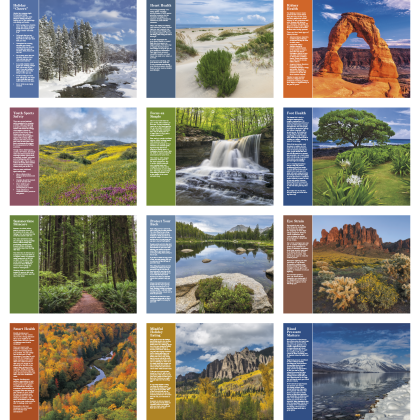 Healthy Living Wall Calendar Promo Months