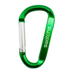 Custom Carabiner Clip Keychain - Green