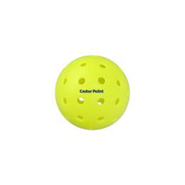 Custom 40 Hole Outdoor Seamless Pickleball