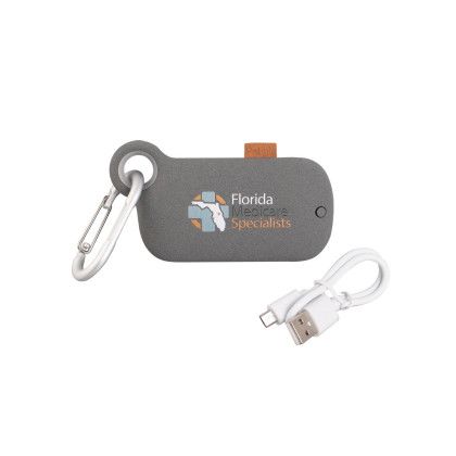 Custom Pebble 5000 mAh Charger With Case and Carabiner - Gray