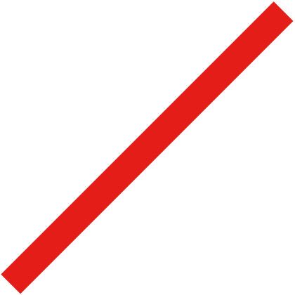 Spirit 28 in. x 2 in. Rd. Foam Stick - Red 485