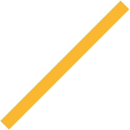 Spirit 28 in. x 2 in. Rd. Foam Stick - Athletic Gold 115