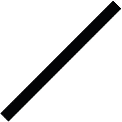 Spirit 28 in. x 2 in. Rd. Foam Stick - Black