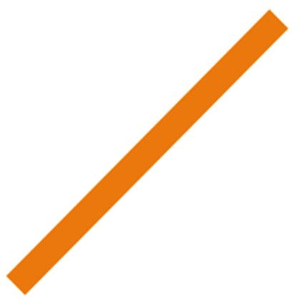 Spirit 28 in. x 2 in. Rd. Foam Stick - Orange 021