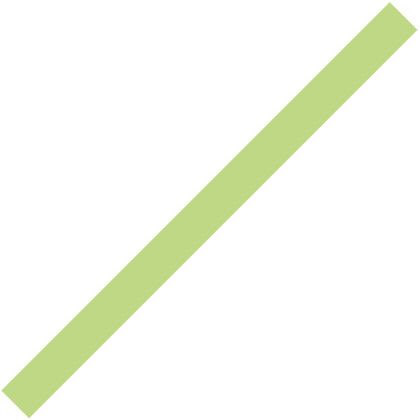 Spirit 28 in. x 2 in. Rd. Foam Stick - Lime Green 367